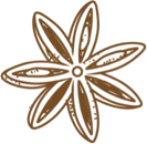 Hand-drawn star anise spice illustration